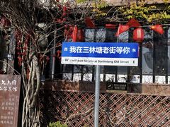 -三林塘老街