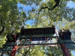 -北京国子监胡同