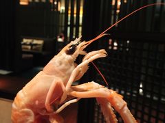 -佛山希尔顿酒店·融誉亚洲美食荟