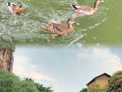 -长鹿旅游休博园