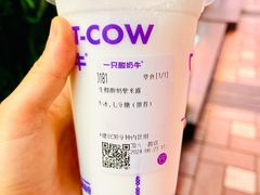 -一只酸奶牛(八一路店)