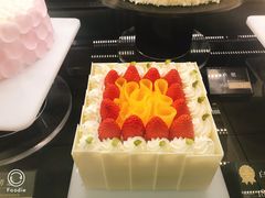 -蒲公英(五里店)