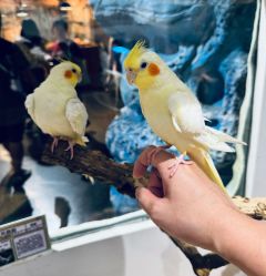 -Zoolung Zoolung动物主题公园(海信广场店)