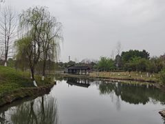 -眉山湿地公园(东坡区)