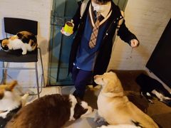 -萌喵咖啡屋(人民东路4号口M16商铺店)