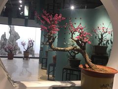 -石家庄市植物园
