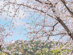 -中国茶叶博物馆(双峰馆区)