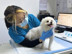 -美联众合动物医院·24h转诊中心