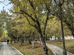 -元大都城垣遗址公园