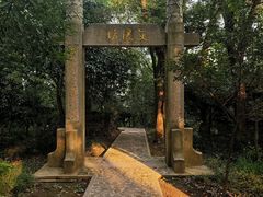 -上海佘山国家森林公园天马山园