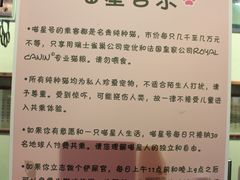 -猫咪博物馆(顶澳仔猫街店)