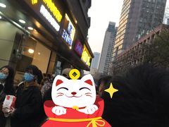-陶记正宗德州扒鸡(科巷店)