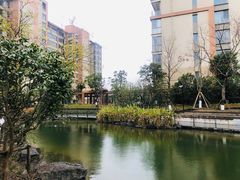 -梧桐人家中国太平国际健康颐养社区