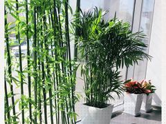 -奔驰北京鹏龙星徽(西大望路店)