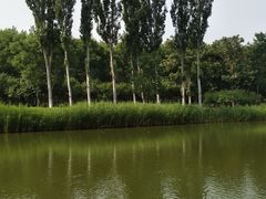 -大兴滨河森林公园