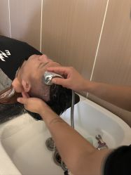 -爱维丽