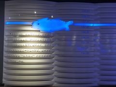 -白鹤梁水下博物馆
