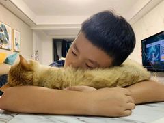 -东方名猫馆·英短金渐层布偶猫舍(环线广场1号楼店)