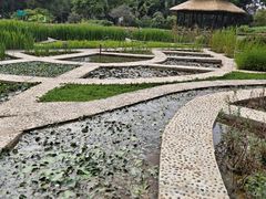 -广西壮族自治区药用植物园