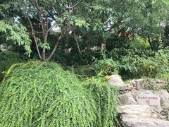 -郭守敬纪念馆