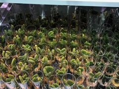 -KKV(深圳宏发大仟里店)