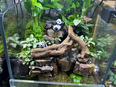 -北京安贞环宇荟