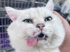 -达爱动物医院·犬猫分区·CT·复杂眼科(远洋山水分院)