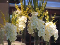 -荷兰布尔玛国际花艺学院