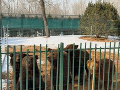 -秦皇岛野生动物园