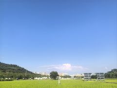-艾米稻香小镇