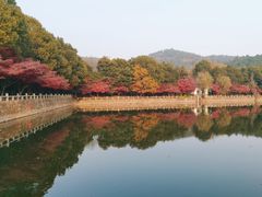 -九龙潭景区