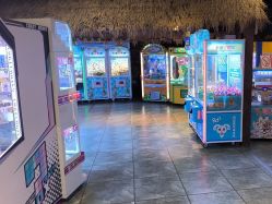 -卡通尼·Safari非洲探索乐园·生日会(金桥国际商业广场店)