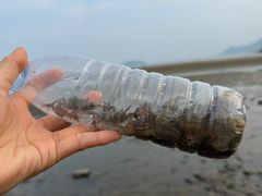 -小皓村