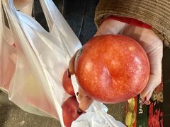 -油麻地果栏