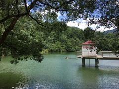 -天花井景区