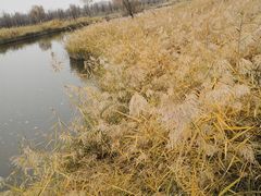 -黄沙古渡原生态旅游区