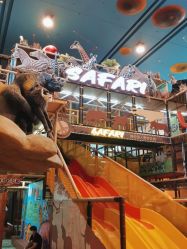-卡通尼·Safari非洲探索乐园·生日会(金桥国际商业广场店)
