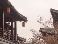 -香积寺