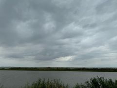 -洪湖湿地生态园