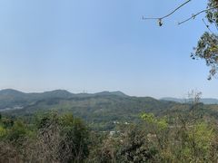 -天鹿湖森林公园