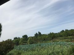-CoCo都可(搜秀城店)