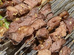 -福苗小骆驼烧烤(莲湖路店)
