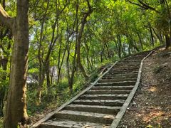 -上海佘山国家森林公园天马山园