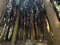 -太阳湾风景区