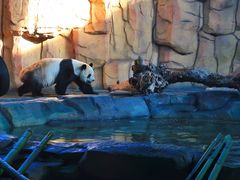 -泉州海丝野生动物世界