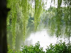 -杭州西子湖四季酒店·金沙厅