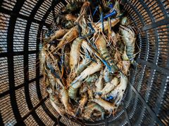 -海峡水产品交易中心(海鲜交易区)