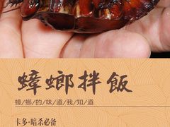 -CALDO CALDO 卡多厨房(双盛花园店)