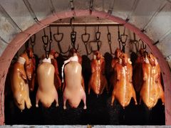 -满堂·烤鸭店·北京菜(鼓楼店)