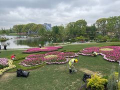 -上海植物园-4号门售票处